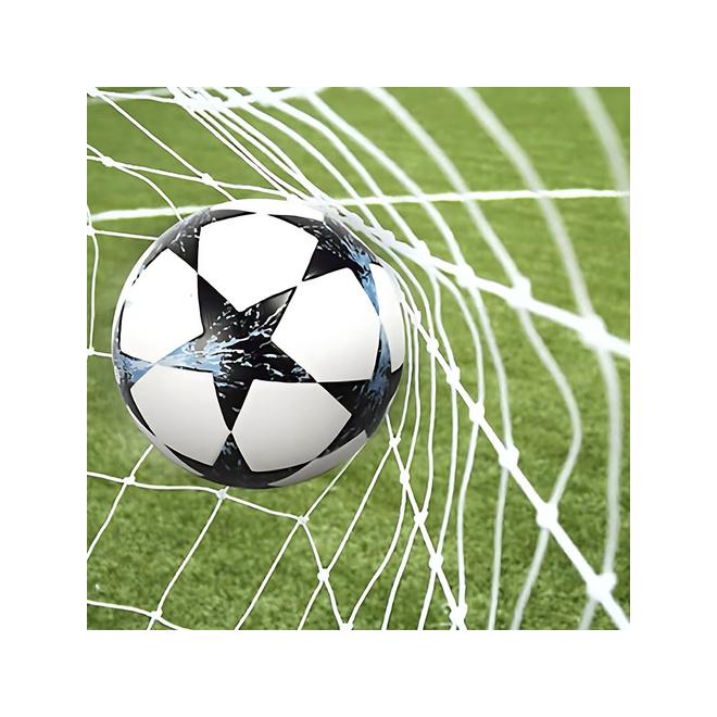 Sieť na kovovú futbalovú bránku