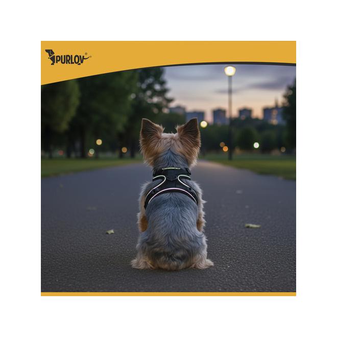 Beztlakový postroj pre zvieratá - S